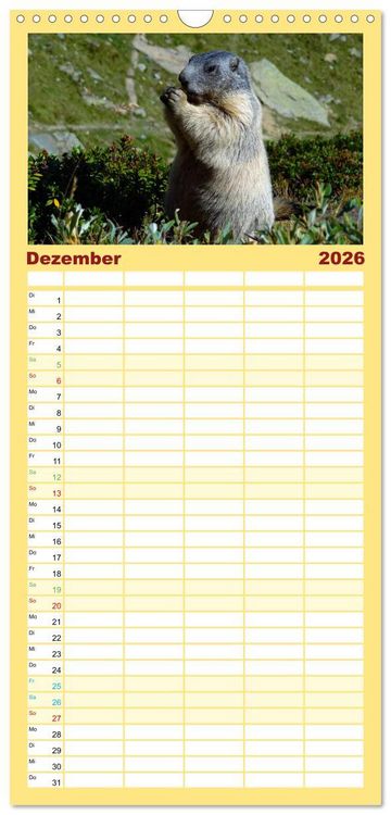 Produktbild: Familienplaner 2026 - Und ewig pfeift das Murmeltier mit 5 Spalten (Wandkalender, 21 x 45 cm) CALVENDO