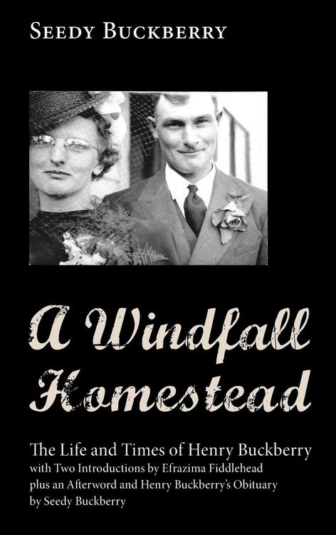 Produktbild: A Windfall Homestead