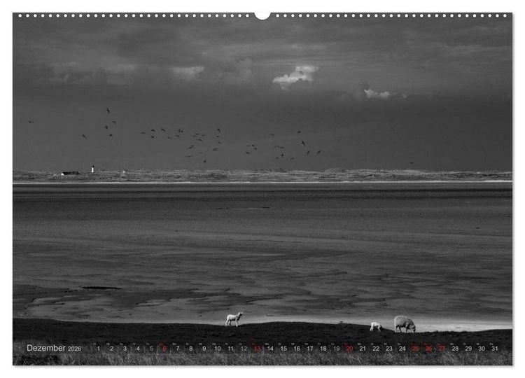 Produktbild: 54&deg;54'57"N 8&deg;19'51"E SYLT (Wandkalender 2026 DIN A2 quer), CALVENDO Monatskalender