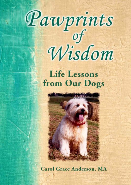 Produktbild: Pawprints Of Wisdom