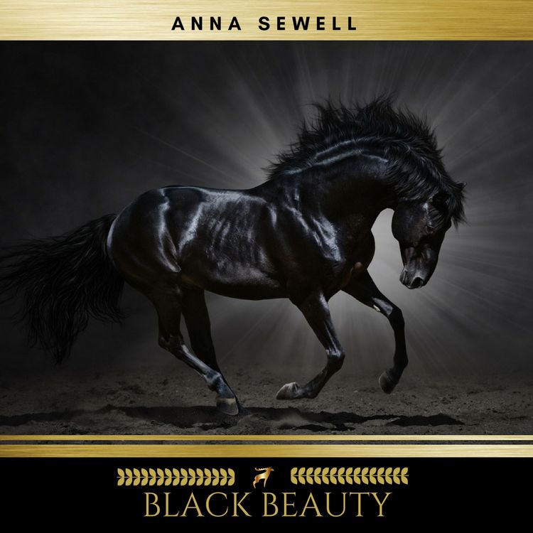 Produktbild: Black Beauty
