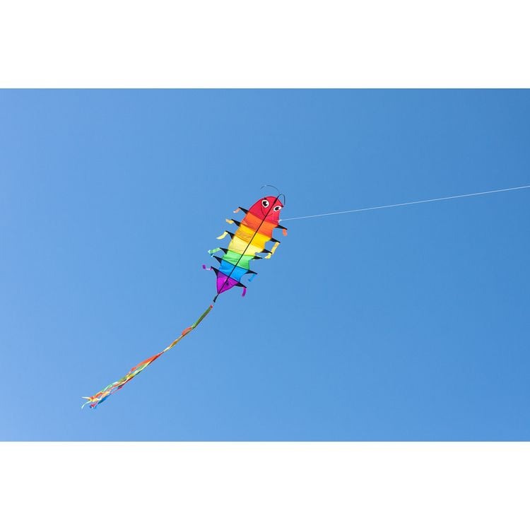 Produktbild: Flapping Willie Worm