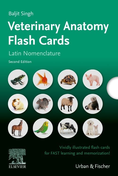 Produktbild: Lernkarten Veterin&auml;ranatomie / Veterinary Anatomy Flash Cards