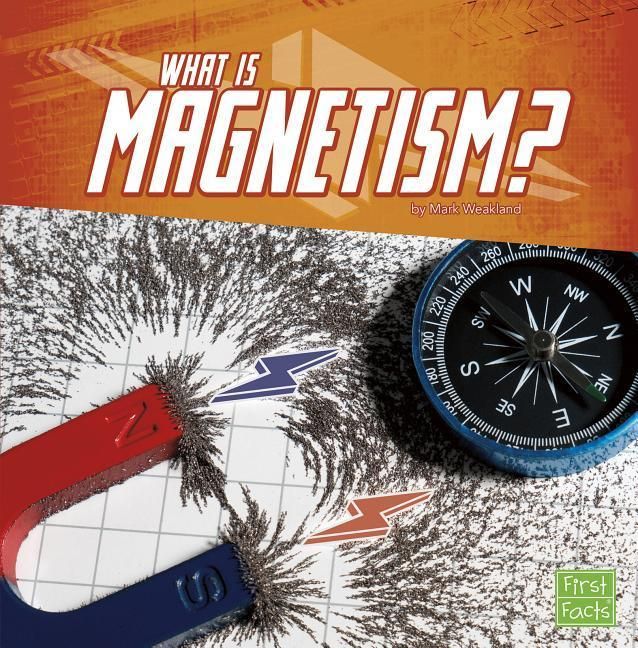 Produktbild: What Is Magnetism?