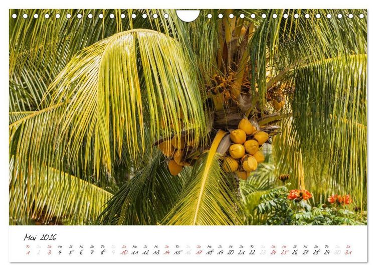 Produktbild: Mauritius - Insel zum Durchatmen (Wandkalender 2026 DIN A4 quer), CALVENDO Monatskalender