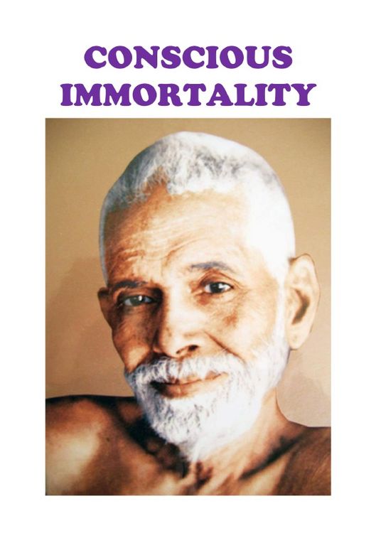 Produktbild: Conscious Immortality