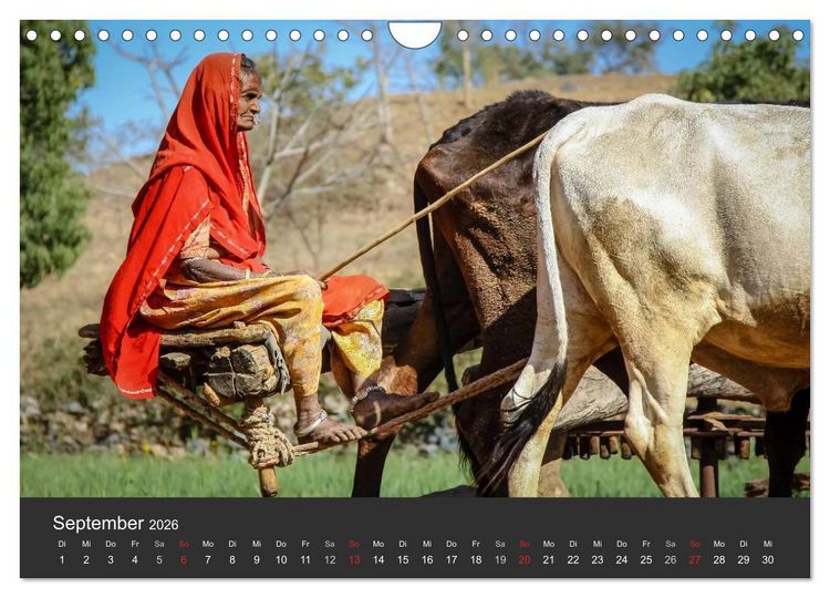 Produktbild: Indien 2026 Tempel, Tiger und Pal&auml;ste (Wandkalender 2026 DIN A4 quer), CALVENDO Monatskalender
