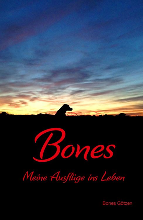 Produktbild: Bones