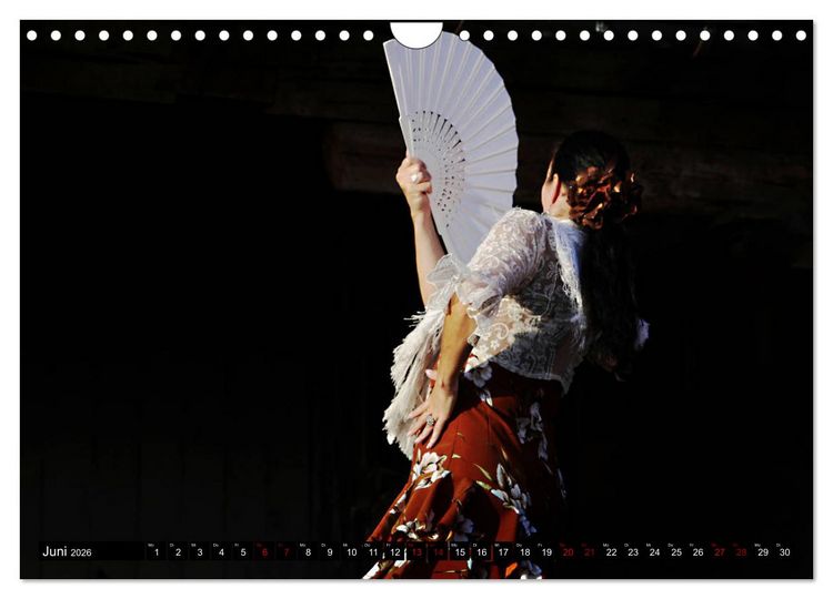 Produktbild: Flamenco. Spanischer Tanz (Wandkalender 2026 DIN A4 quer), CALVENDO Monatskalender
