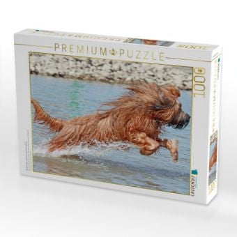 Produktbild: CALVENDO Puzzle Briard voller Lebensfreude beim spielen | 1000 Teile Lege-Gr&ouml;&szlig;e 64x48cm Foto-Puzzle f&uuml;r gl&uuml;ckliche Stunden