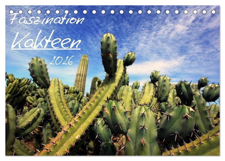Produktbild: Faszination Kakteen (Tischkalender 2026 DIN A5 quer), CALVENDO Monatskalender