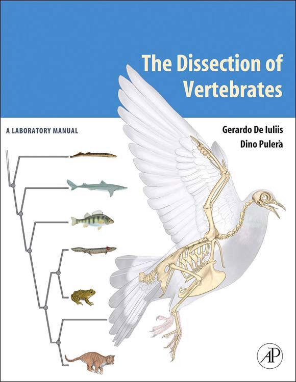 Produktbild: The Dissection of Vertebrates