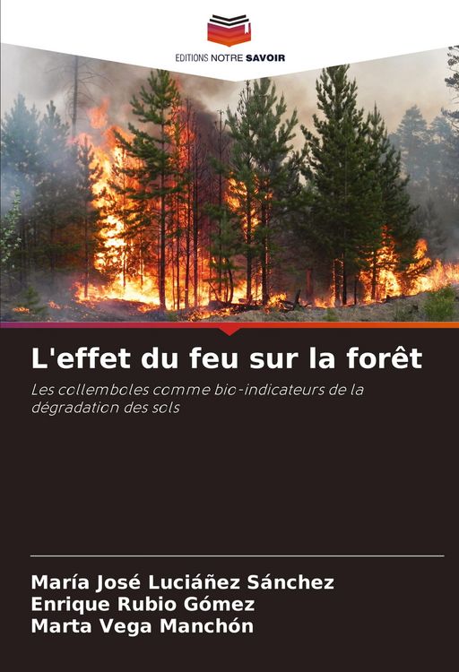 Produktbild: L'effet du feu sur la for&ecirc;t