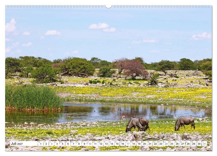 Produktbild: Namibia - Weite sp&uuml;ren (hochwertiger Premium Wandkalender 2027 DIN A2 quer), Kunstdruck in Hochglanz