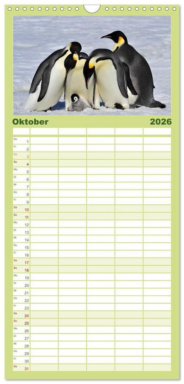 Produktbild: Familienplaner 2026 - Pinguine - Watscheln im festlichen Kleid mit 5 Spalten (Wandkalender, 21 x 45 cm) CALVENDO