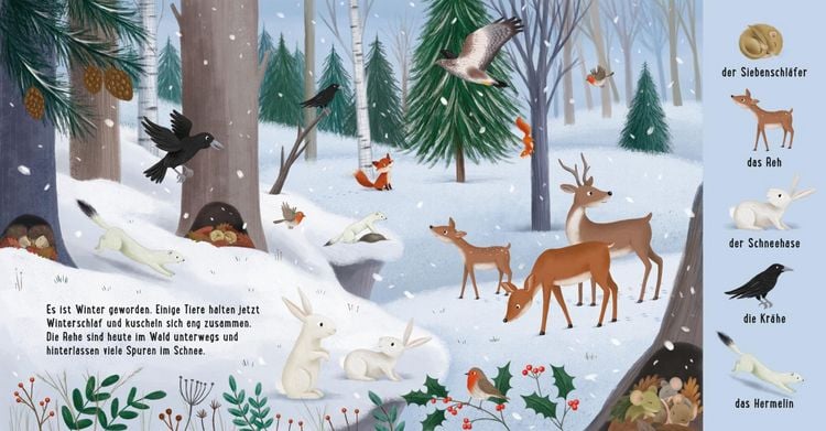 Produktbild: Mein erstes Natur-Wimmelbuch: Tiere im Wald
