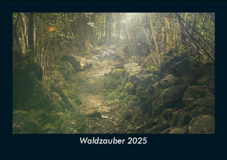 Produktbild: Waldzauber 2025 Fotokalender DIN A5