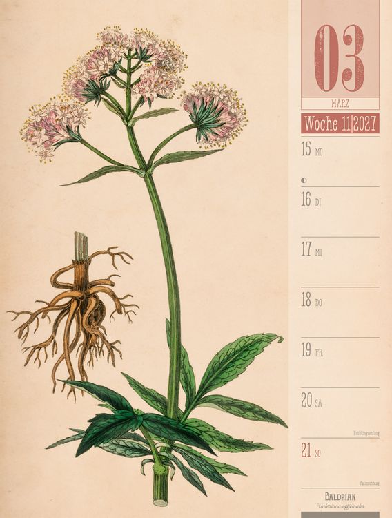 Produktbild: Culinarium Wochenplaner Kalender 2027 | K&uuml;che, Kr&auml;uter, Kurioses