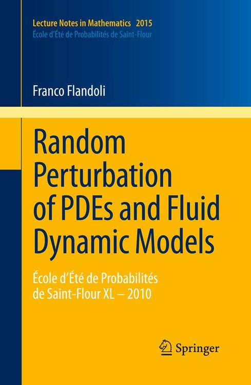Produktbild: Random Perturbation of PDEs and Fluid Dynamic Models