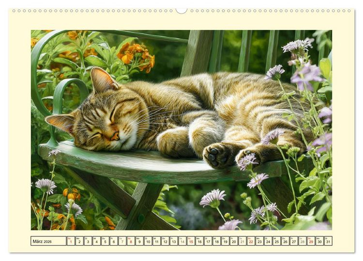 Produktbild: Geliebte Katzen. Unsere zauberhaften Hauskatzen im Garten (Wandkalender 2026 DIN A2 quer), CALVENDO Monatskalender