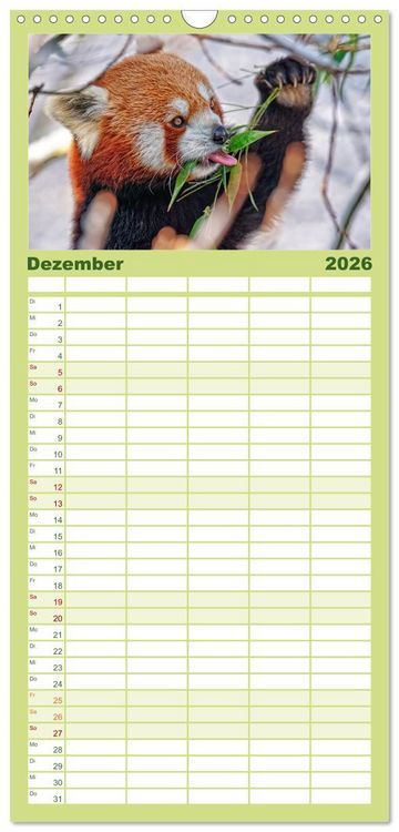 Produktbild: Familienplaner 2026 - Kleiner Panda mit 5 Spalten (Wandkalender, 21 x 45 cm) CALVENDO