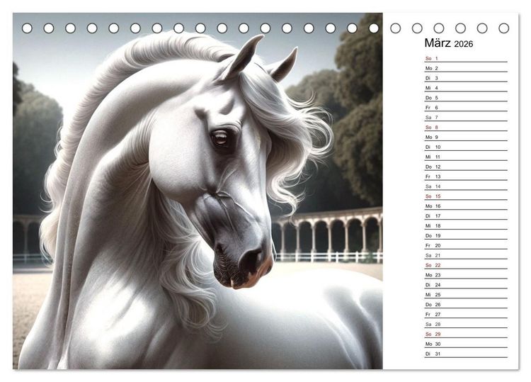 Produktbild: Pferde - die Sch&ouml;nheit edler Pferderassen (Tischkalender 2026 DIN A5 quer), CALVENDO Monatskalender