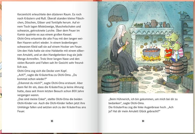 Produktbild: Die Olchis im Land der Ritter