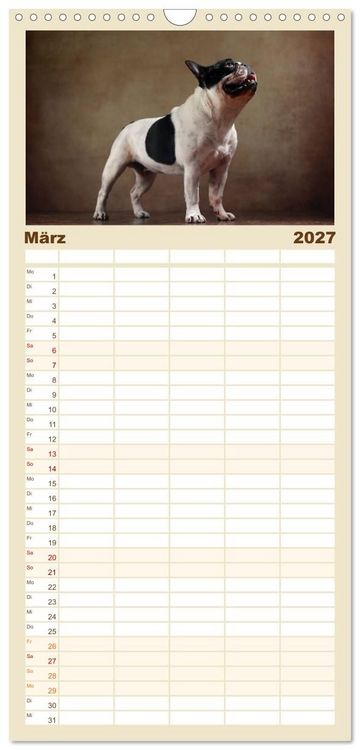 Produktbild: Familienplaner 2027 - Charme auf vier Pfoten - Franz&ouml;sische Bulldoggen Portraits mit 5 Spalten (Wandkalender, 21 x 45 cm) CALVENDO