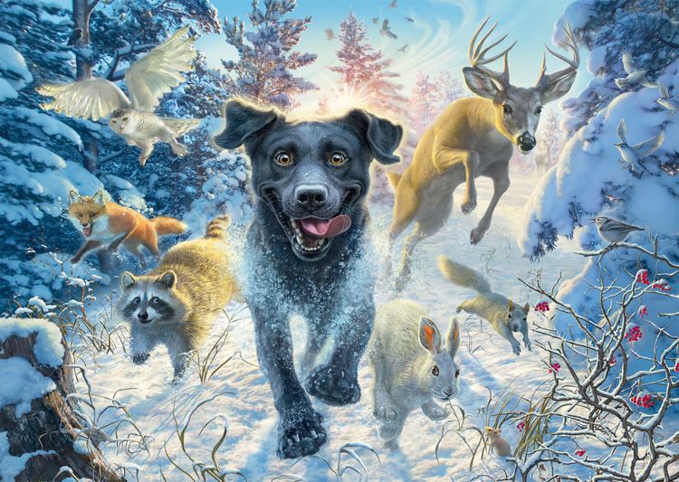 Produktbild: Schwarzer Labrador im Schnee