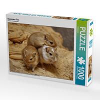 Produktbild: CALVENDO Puzzle Rennmaus Trio | 1000 Teile Lege-Gr&ouml;&szlig;e 64x48cm Foto-Puzzle f&uuml;r gl&uuml;ckliche Stunden