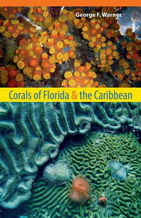 Produktbild: Corals of Florida and the Caribbean