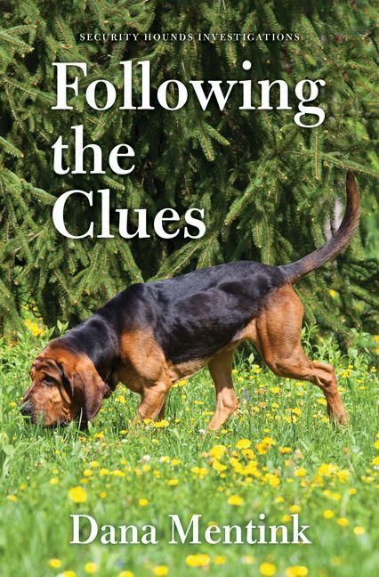 Produktbild: Following the Clues