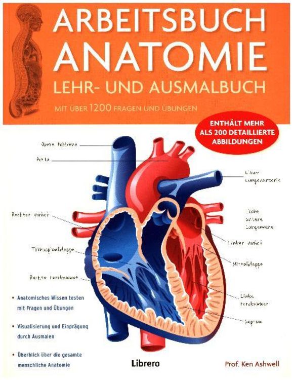 Produktbild: Arbeitsbuch Anatomie