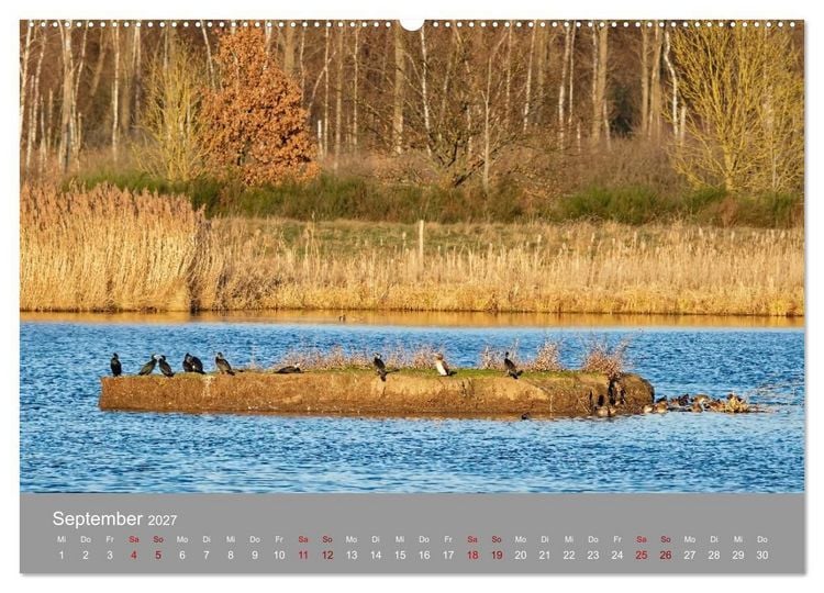 Produktbild: Naturerlebnis im Biosph&auml;renreservat Dr&ouml;mling (Wandkalender 2027 DIN A2 quer), CALVENDO Monatskalender