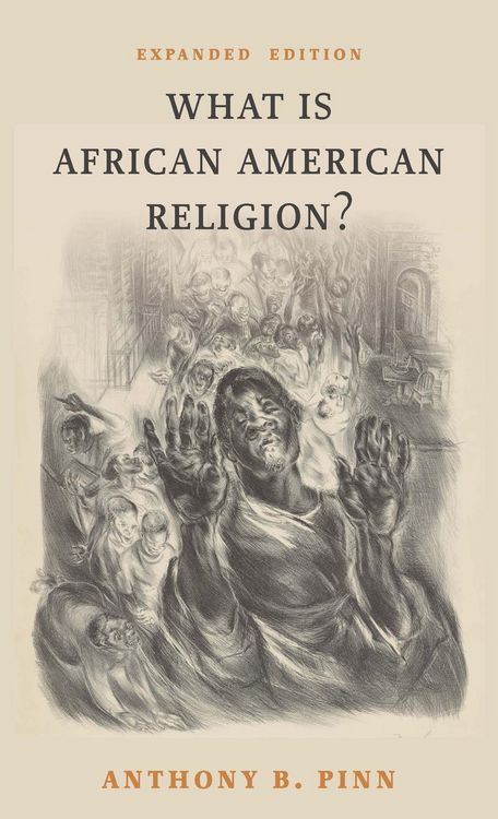 Produktbild: What Is African American Religion?
