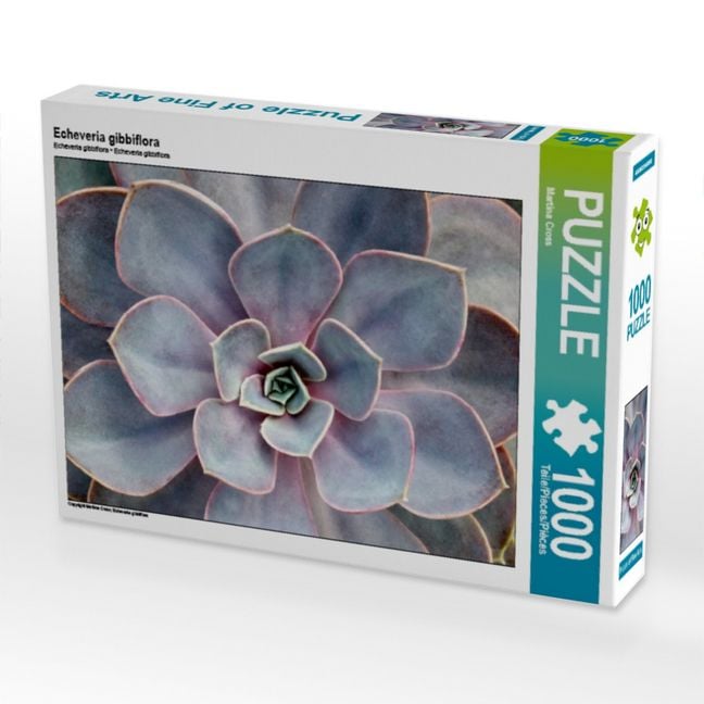 Produktbild: CALVENDO Puzzle Echeveria gibbiflora | 1000 Teile Lege-Gr&ouml;&szlig;e 64x48cm Foto-Puzzle f&uuml;r gl&uuml;ckliche Stunden