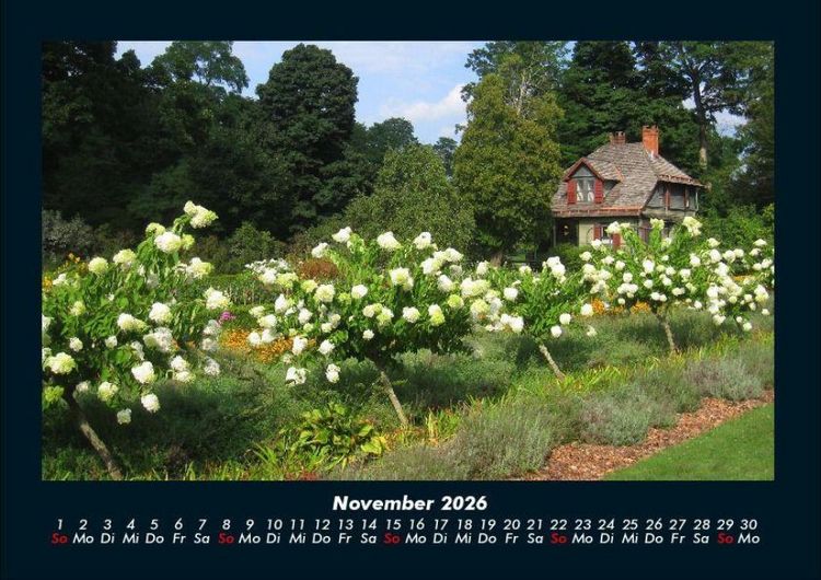 Produktbild: Blumenkalender 2026 Fotokalender DIN A4