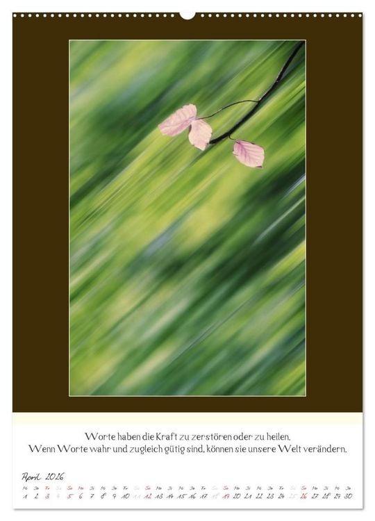 Produktbild: Der Buddhistische Weisheiten Kalender (Wandkalender 2026 DIN A2 hoch), CALVENDO Monatskalender