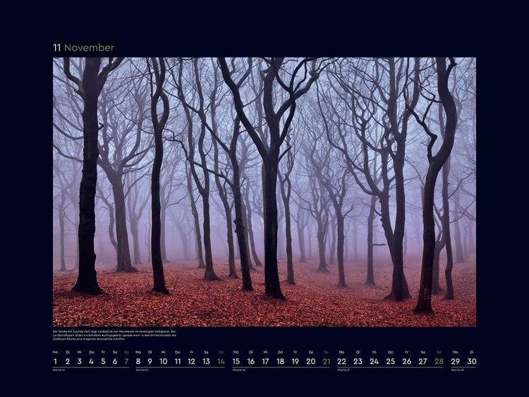 Produktbild: Magische W&auml;lder der Erde - KUNTH Wandkalender 2027