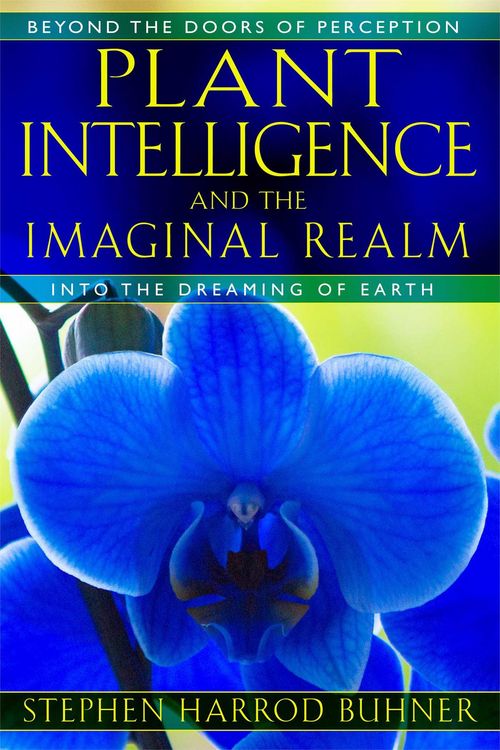Produktbild: Plant Intelligence and the Imaginal Realm