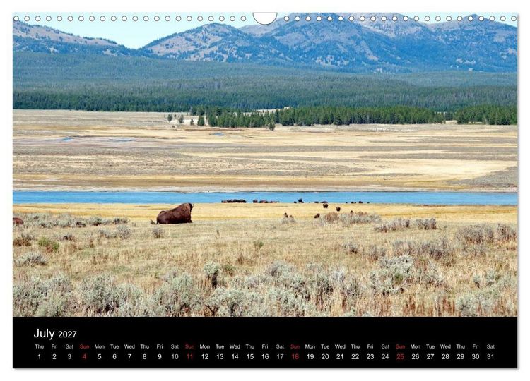 Produktbild: Beautiful Yellowstone and Grand Tetons National Parks (Wall Calendar 2027 DIN A3 landscape), CALVENDO 12 Month Wall Calendar
