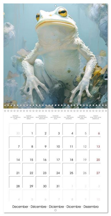 Produktbild: Delicate animal portraits (Wall Calendar 2026 12 &times; 12 Inch) CALVENDO 12 Month Wall Calendar