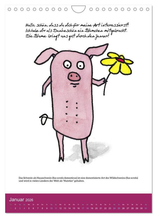 Produktbild: Schweinekalender - Alles was du &uuml;ber Schweine wissen wolltest! (Wandkalender 2026 DIN A4 hoch), CALVENDO Monatskalender