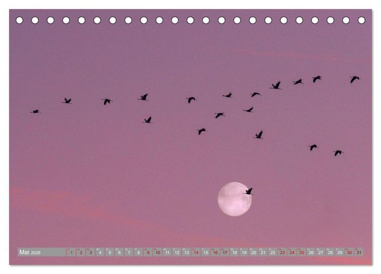 Produktbild: Vollmond - Momente der Ruhe (Tischkalender 2026 DIN A5 quer), CALVENDO Monatskalender