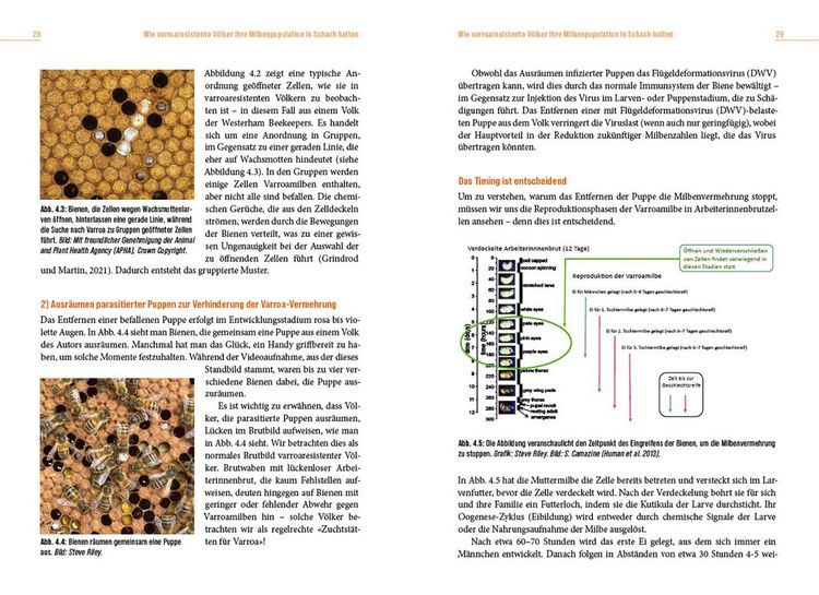Produktbild: Die L&ouml;sung der Honigbiene f&uuml;r das Varroa-Problem