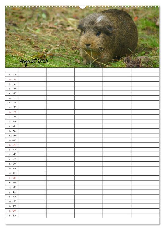 Produktbild: Meerschweinchen und Kaninchen Familienplaner (hochwertiger Premium Wandkalender 2026 DIN A2 hoch), Kunstdruck in Hochglanz