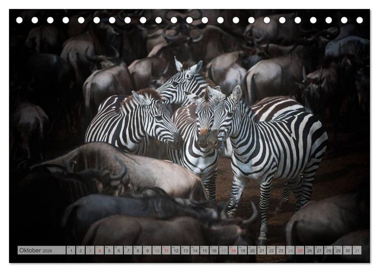 Produktbild: Emotionale Momente: Afrika Wildlife Part 2 / CH-Version (Tischkalender 2026 DIN A5 quer), CALVENDO Monatskalender