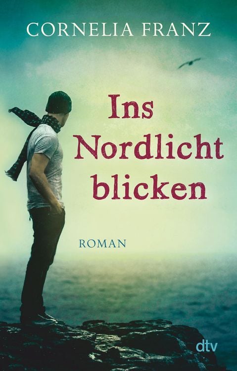 Produktbild: Ins Nordlicht blicken