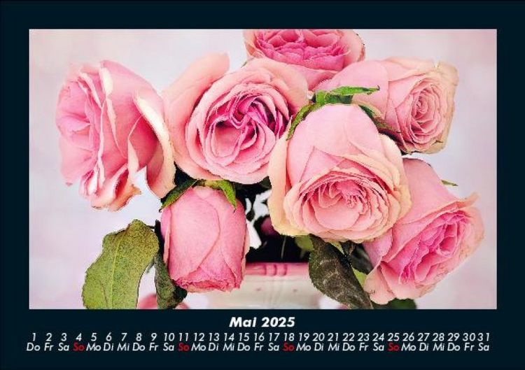 Produktbild: Rosen-Kalender 2025 Fotokalender DIN A5