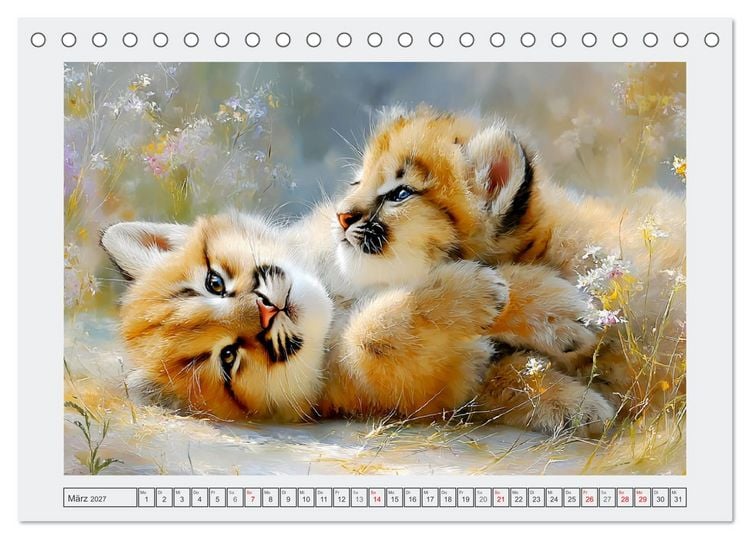 Produktbild: Pumababys. Verspielte Bergl&ouml;wenkinder in der Natur (Tischkalender 2027 DIN A5 quer), CALVENDO Monatskalender